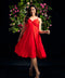 Midi Tiered Chiffon Pleated Vneck  Dress